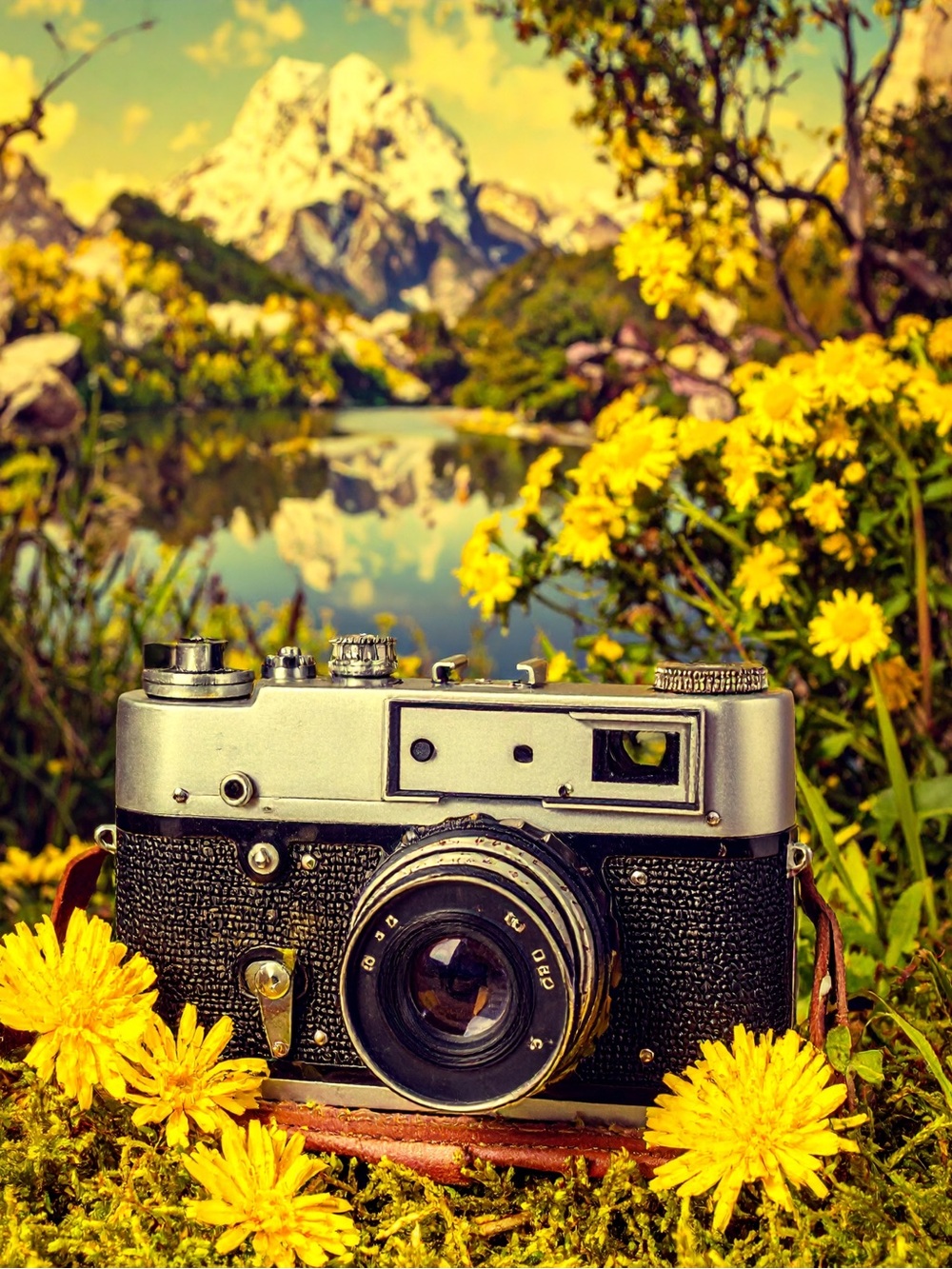 Silver & Black Vintage Camera Art Print - Scenic Photography Wall Art